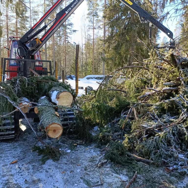 Miten pihapuiden kuntoarvio auttaa ennen kiinteistön myyntiä tai ostoa?