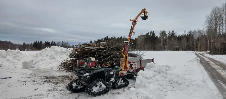 Milloin pihan puut kannattaa tarkistuttaa ennen syys- ja talvimyrskyjä?